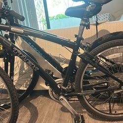 Trek size large 29 inch