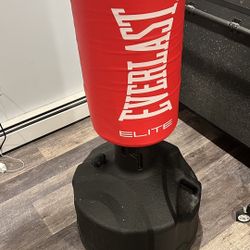 Everlast Standing Punching Bag 