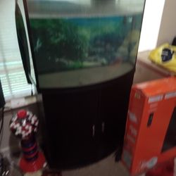 Forty Gallon Fish Tank For Sale And Red Bar Stools For Sale 