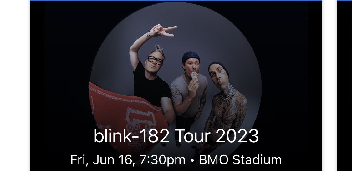 Blink-182 Concert