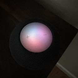 Apple Speaker 