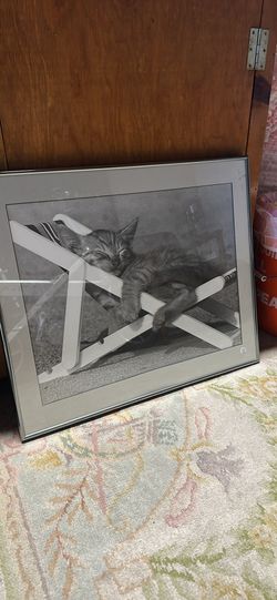 Vintage Framed Cat Print