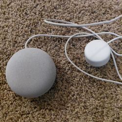 Google Nest Mini