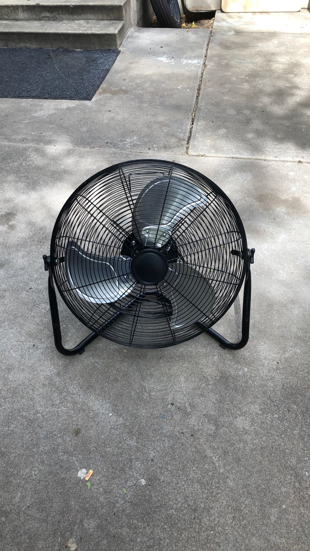 Fan 
