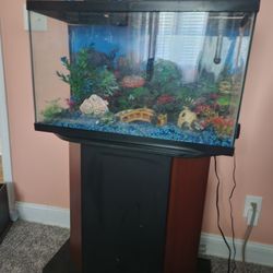 29 Gal Aquarium W/stand & Supplies 