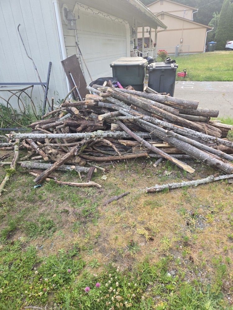 Fire Wood 100