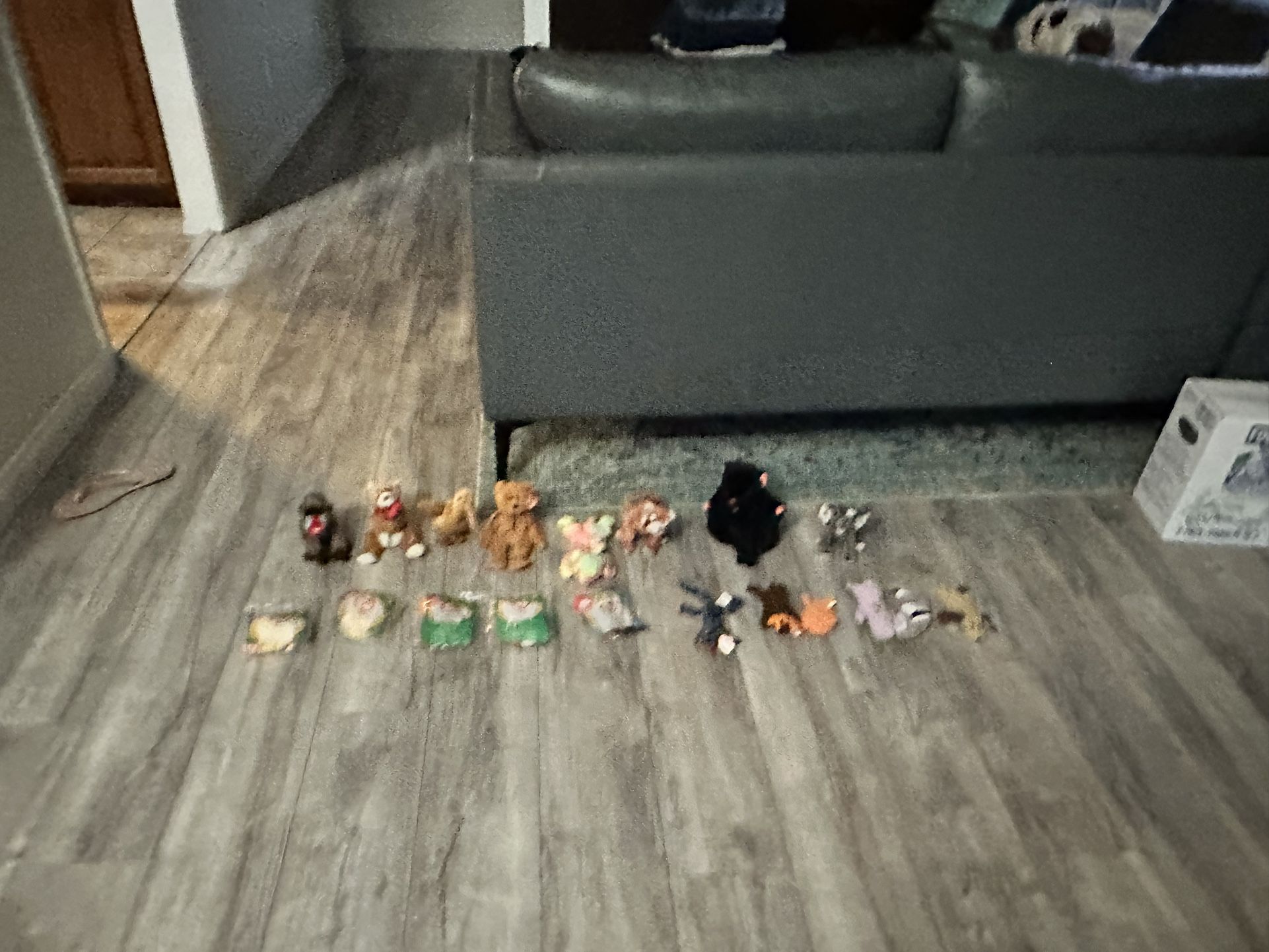 19 Beanie Babies Mint Condition