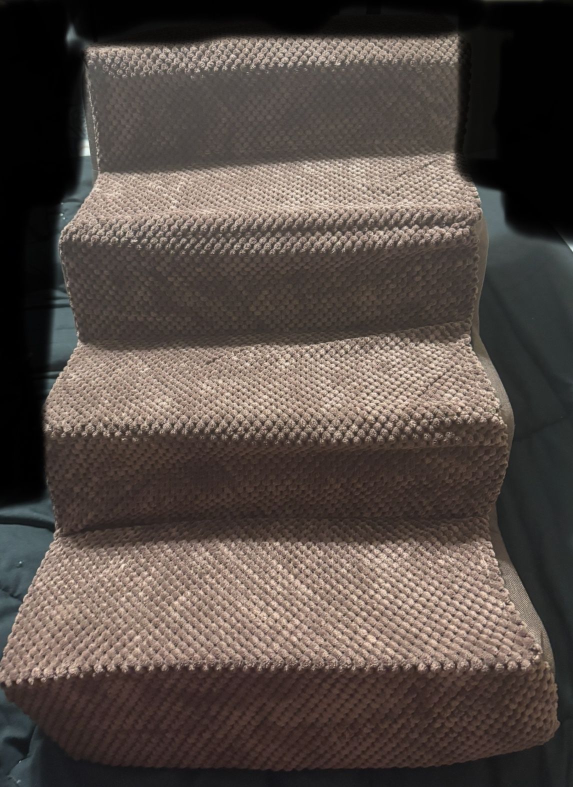 New brown dog stairs