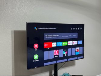 Sony 55” TV