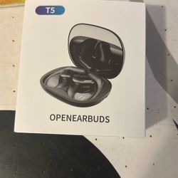 T5 Open earbuds 