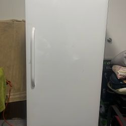 Large Stand Up Freezer