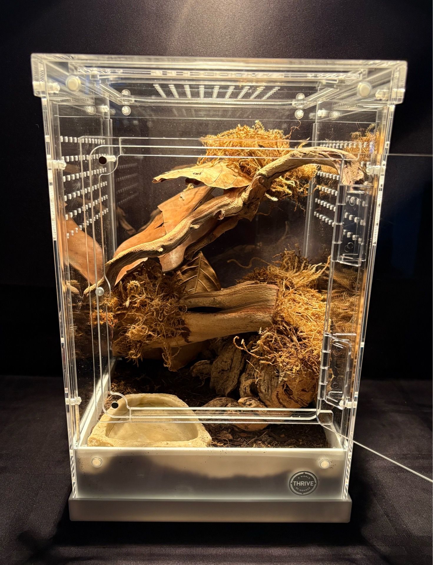Custom Arachnid Habitat