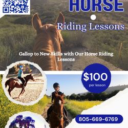 Politics, Prices And Pandemonium- Horses Don’t Care  And You Won’t Either 