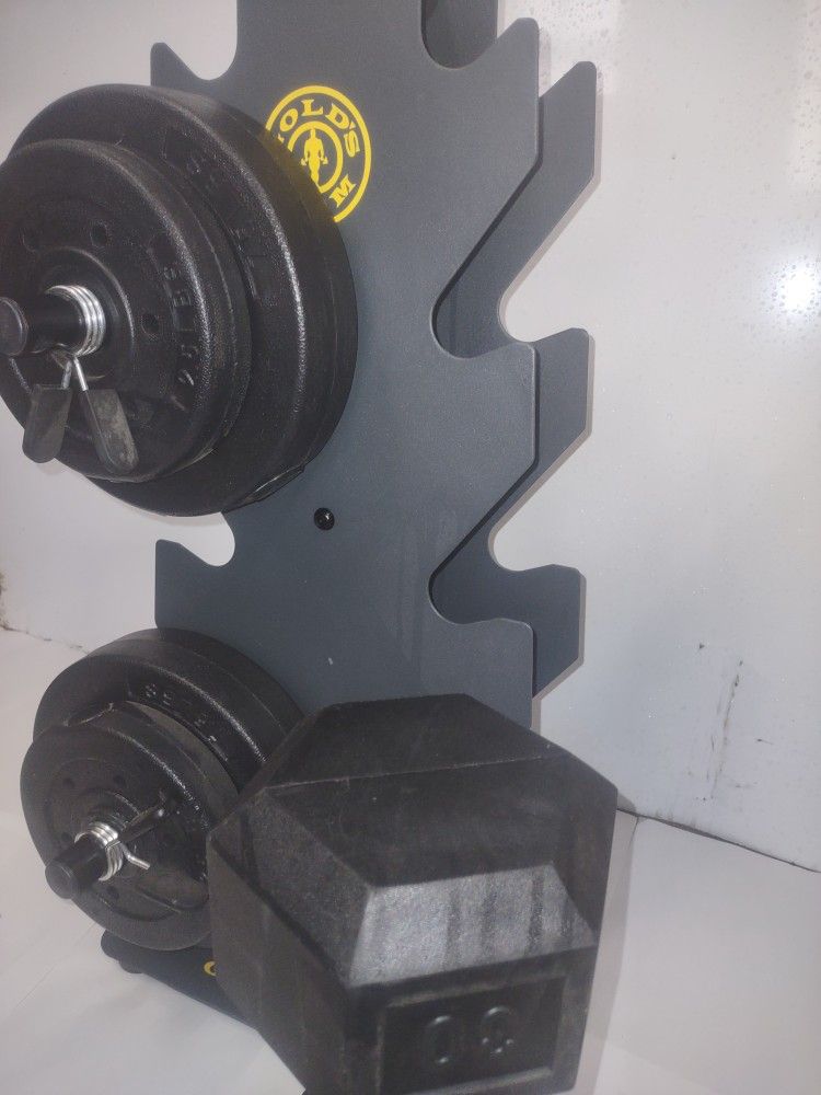 Gold’s Gym Dumbbells + Stand, 70 lbs Total, Home Gym Setup $90