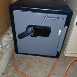 Sentry Safe For Sale