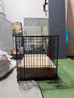 Dog crate for small dog