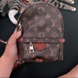 Mini Purse Backpack 