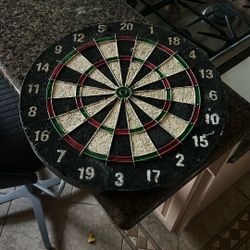 Dartboard- Used But In Good Shape $50