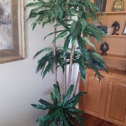 ARTIFICIAL PLANT LOCATED IN WYLIE.MEASURES 78".