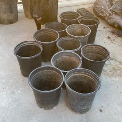 13 Pots For  Plants 5 Gallon $20 For All 