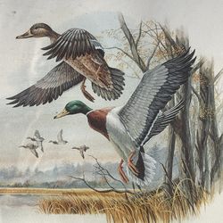 vintage art print ducks Don Balke limited print 