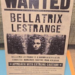 Harry Potter Bellatrix Lestrange Sign Tin 8" X 12"