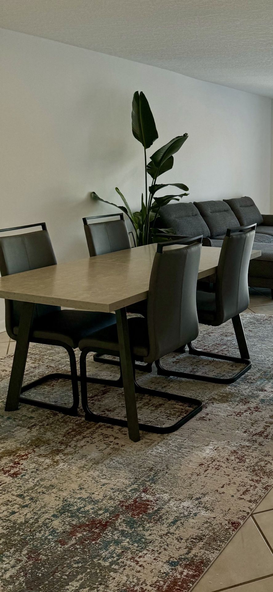 Dining Table with Chairs 