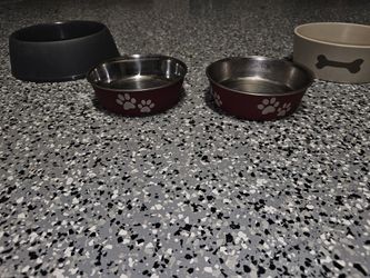 Dog Bowls