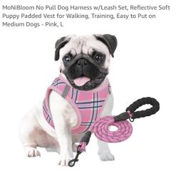 No Pull Harness And Leash (L)
