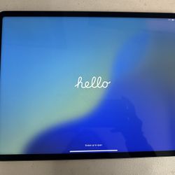 iPad Pro, 12.9 Inch (6th Generation), Wi-fi + Cellular, 256GB, Space Gray