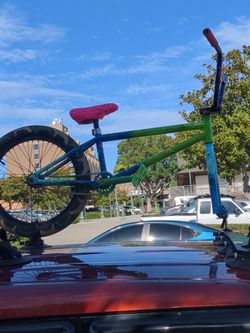 Elite bmx