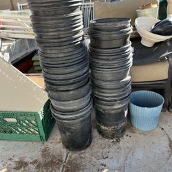$10 For All  50 Black Plant Containers 