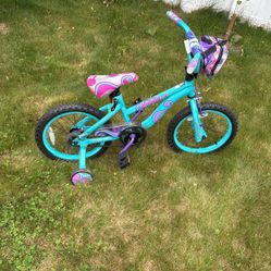 16 In Bike 