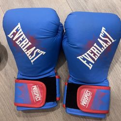 Kids Boxing Everlast Gloves