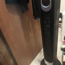 Fan 