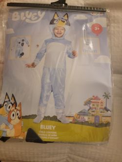 Bluey & Bingo Costumes