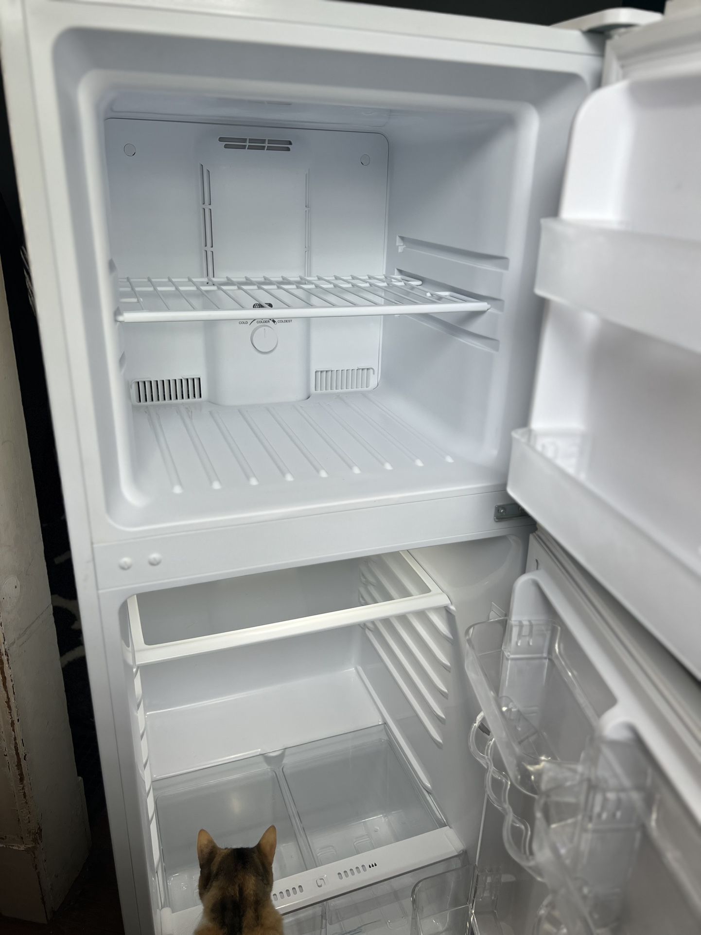 Magic Chef HMDR1000WE 10.1 Cu Ft Top-mount Refrigerator E-star