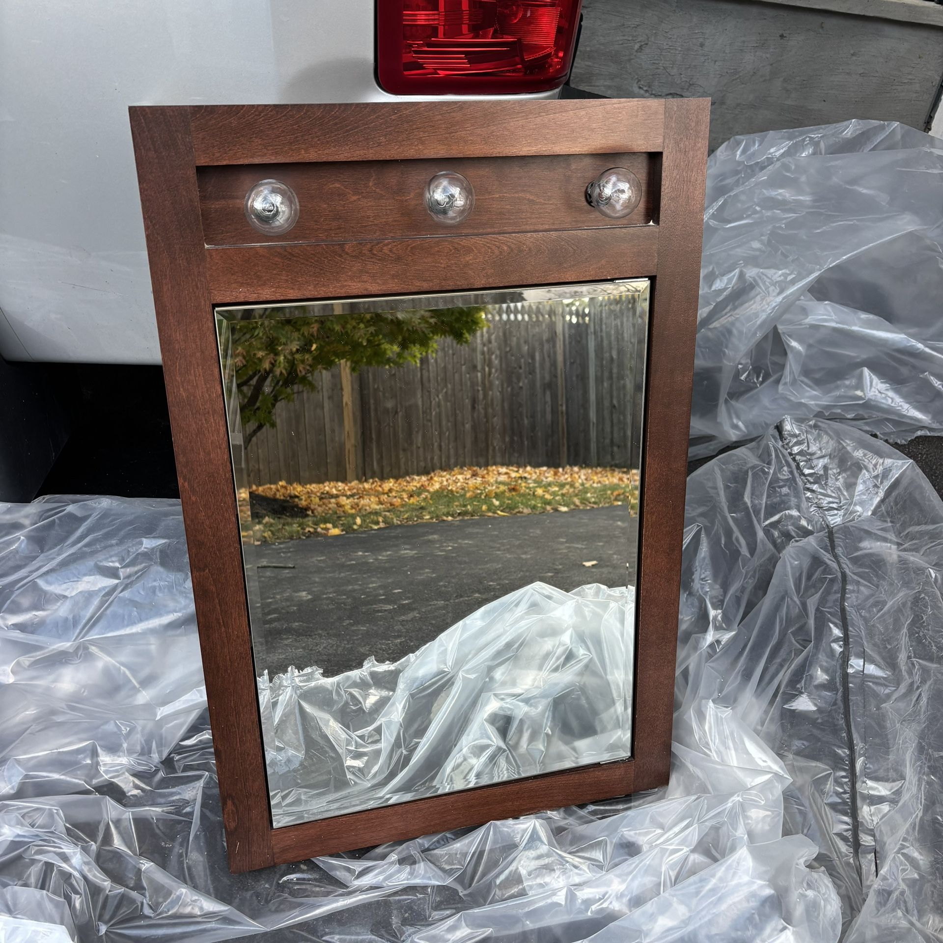 Bathroom Medicine Cabinet/Mirror