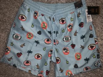 Authentic VANS Board Shorts Men’s Small Light Blue NWT $50