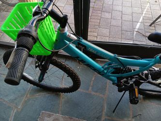 Bicycle basket