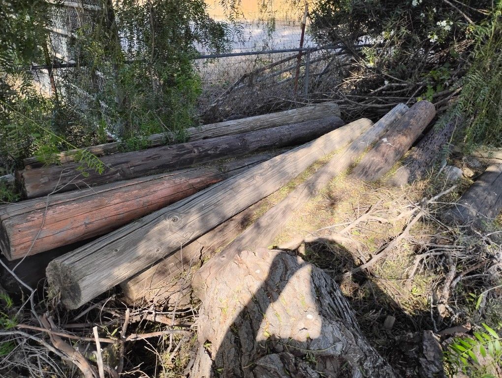 Telephone Pole