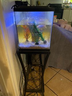 Small Fish Tank Aquarium with LED Light and Decor