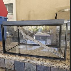 Terrarium