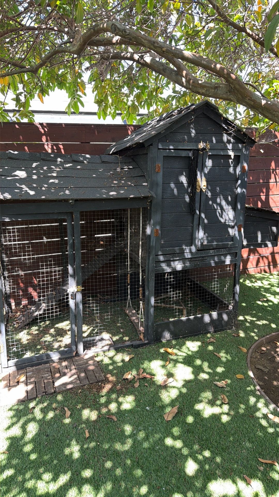 Large chicken coop