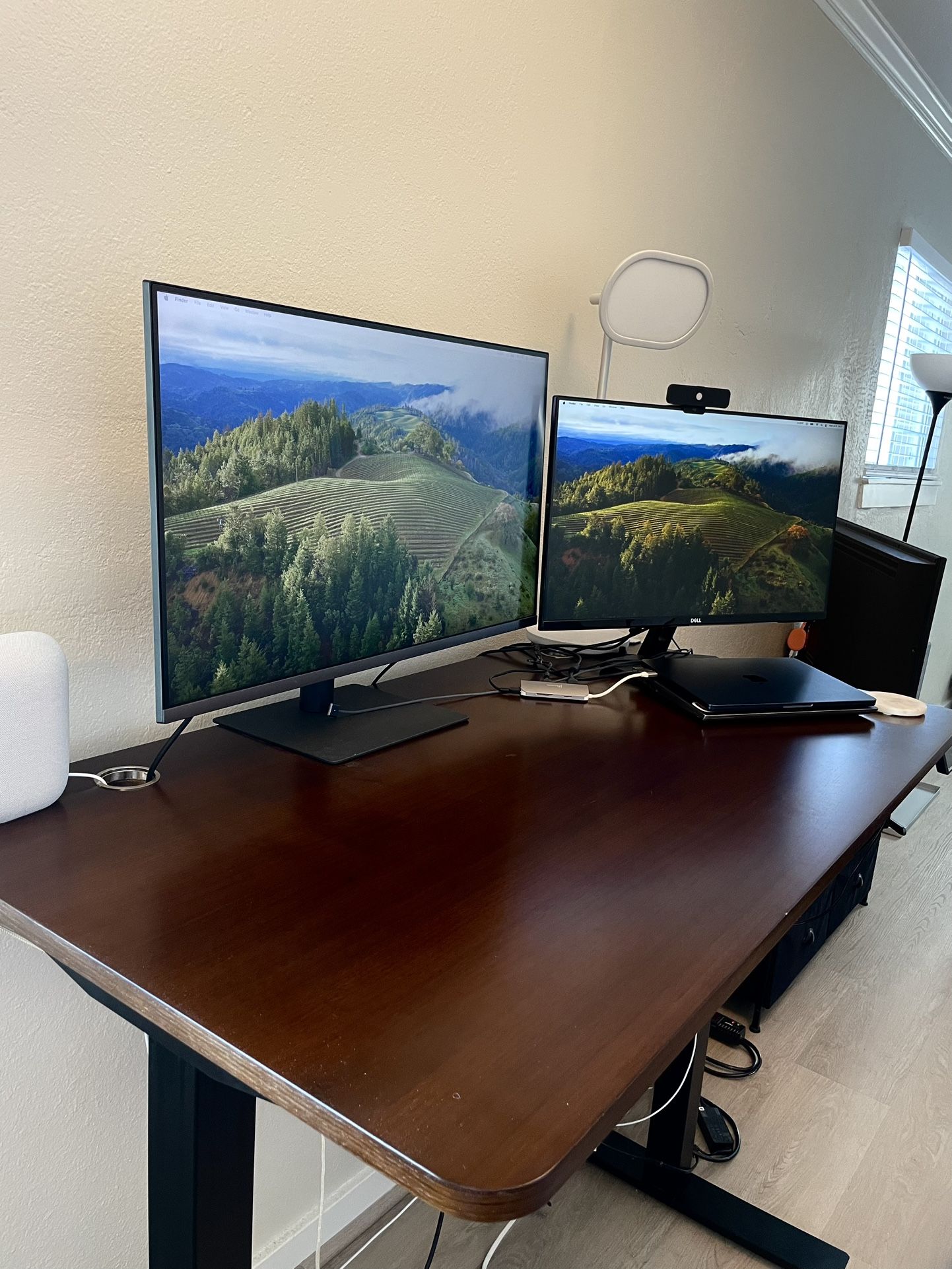 Autonomous Adjustable Standing Desk