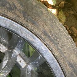 Rim Tire