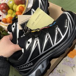 Salomon XT6 GTX Black/Silver Womens Size 7