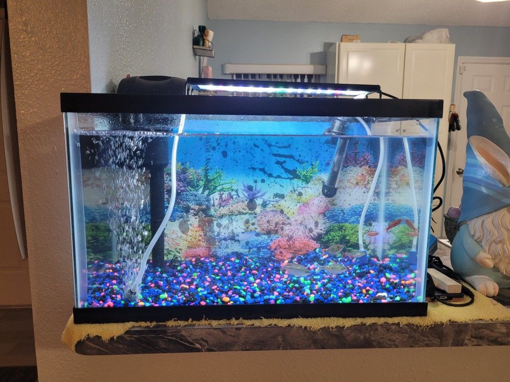 10 Gallon Fish Tank With Everything Included