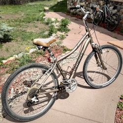 Specialized Bicycle 