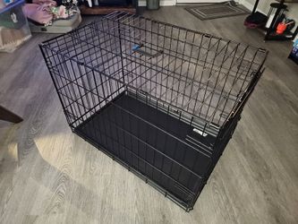 Top Paw single door folding dog crate - medium